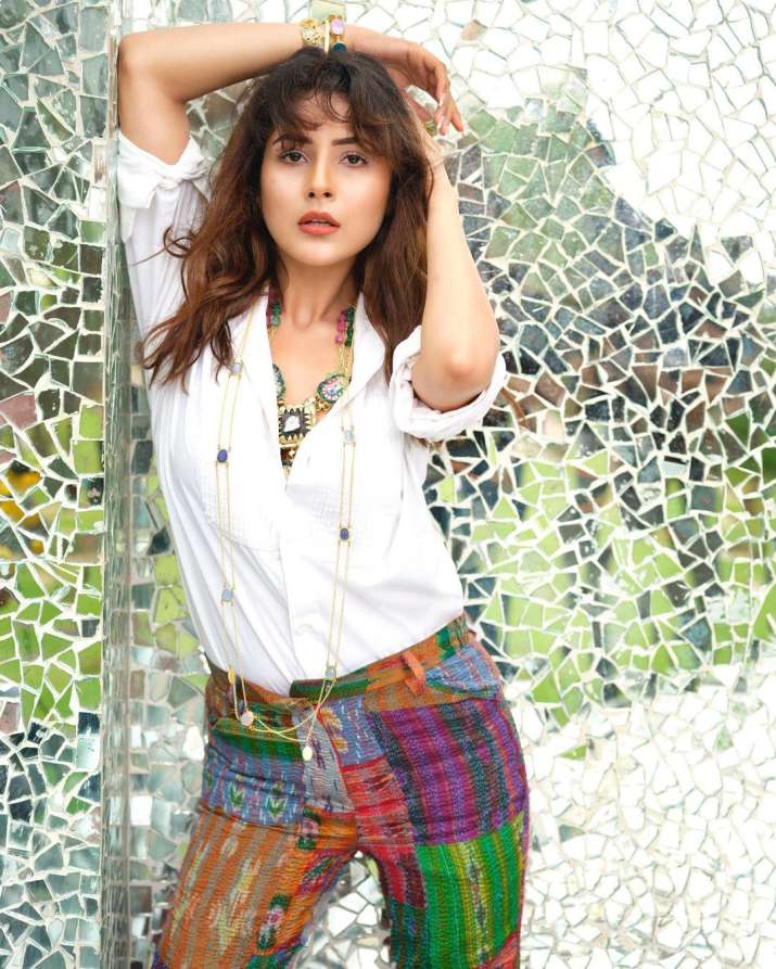India Tv - Shehnaaz Gill sets the temperature soaring with latest photos India Tv - Shehnaaz Gill sets the temperature soaring with latest photos