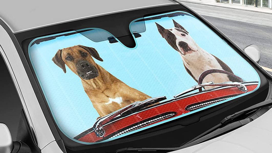 Best automotive sun shades for 2023 - Autoblog