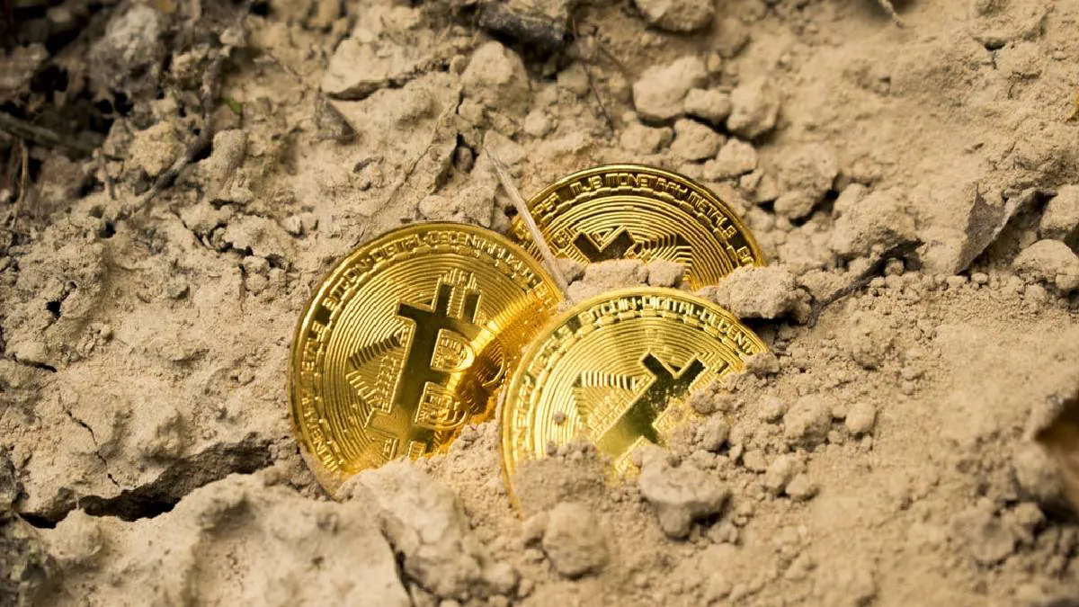 Crypto Exchanges in India Disable Deposits via State-Backed System