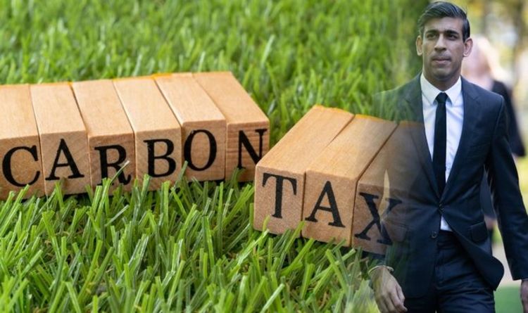 Rishi Sunak may push 'green' plans in Autumn Budget - Britons to be hit by a 'carbon tax'