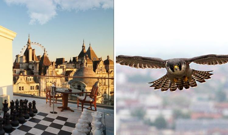 Hotel secrets: How luxury hotels make sure guests are not disturbed by air