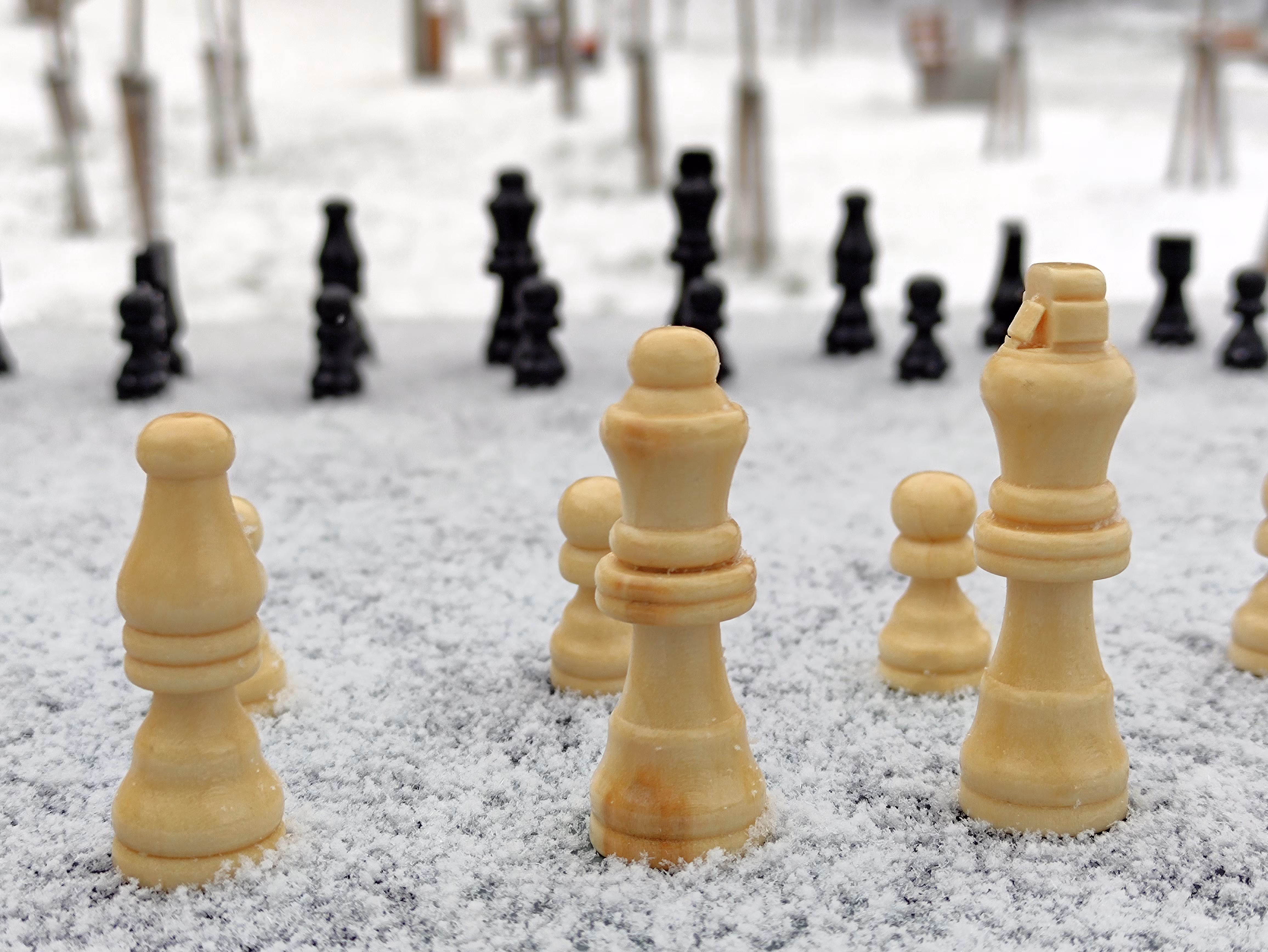 Abhimanyu Mishra Becomes Youngest Grandmaster in Chess History at Age 12