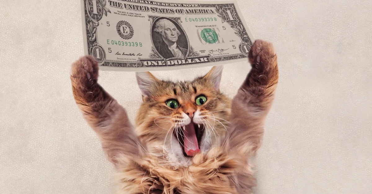 Tulsa Cat 'Steals' Money To Give To The Homeless! [Video]