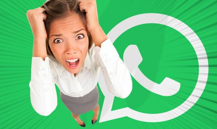 Awful WhatsApp scam is back, but there could FINALLY be a fix on the way