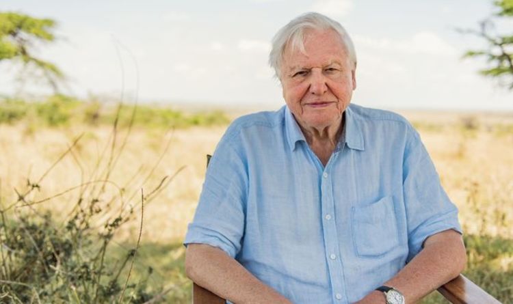 Sir David Attenborough named nation's favourite online Xmas party host