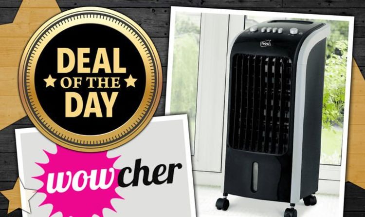 Get an oscillating air cooler fan for over 70 percent off – but be quick