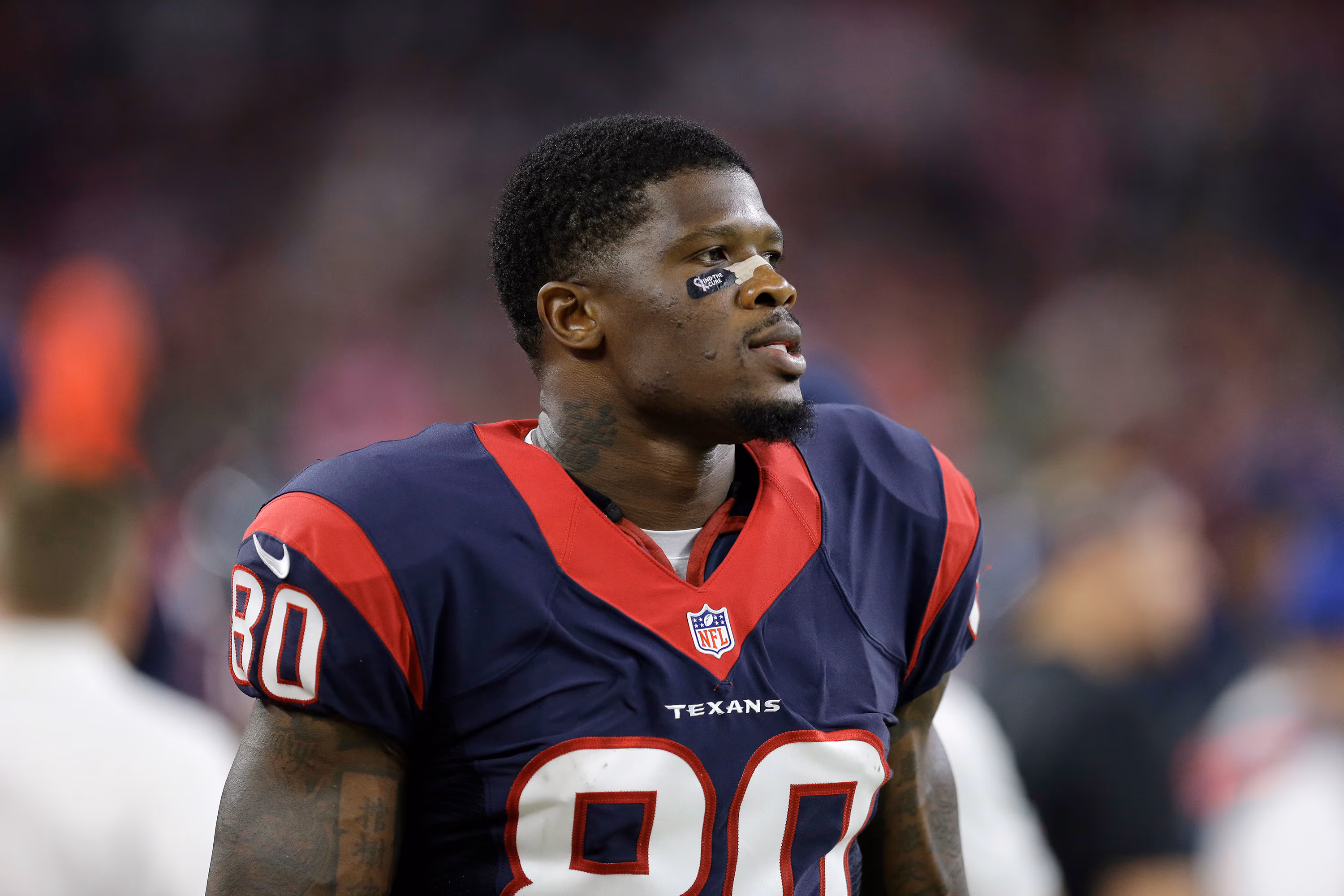 Andre Johnson, Hines Ward Headline 2022 Pro Football Hall of Fame Semifinalists