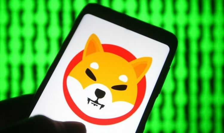 Why Shiba Inu WON'T reach $1 - experts speak out as SHIB spikes