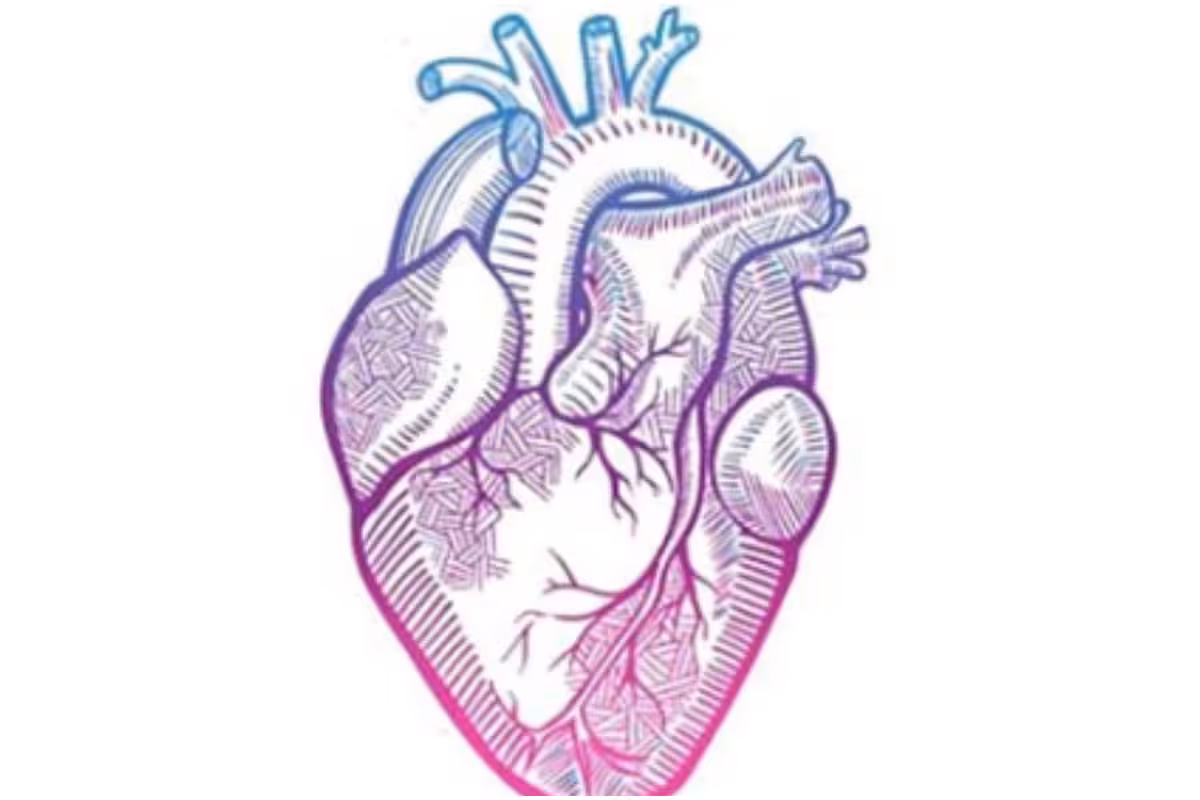 Here are Simple Tips for People of All Age Groups to Keep Cardiovascular Health in Check