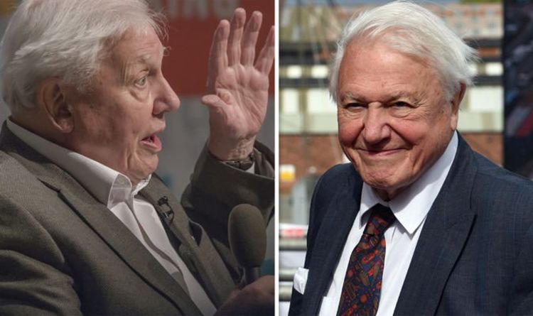 David Attenborough health: Perfect Planet star scared to leave house due to Covid threat
