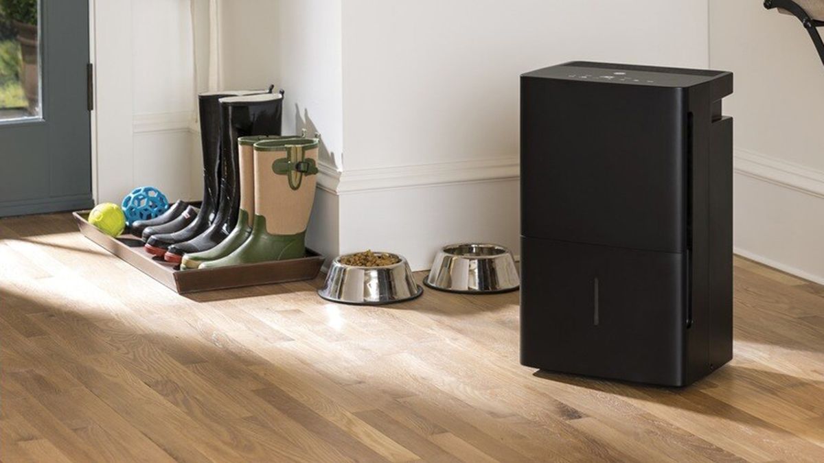 The best dehumidifiers in 2021