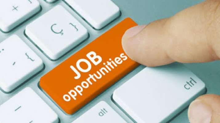 This IT firm plans to recruit over 1,000 employees for offices in Mumbai, Chennai, Noida, Bengaluru, Hyderabad