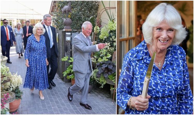 ‘Beautiful photo of the Duchess’: Camilla stuns in bold dress at last night’s engagement