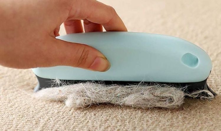 Clean carpet - how to get rid of hair and fluff with one simple product