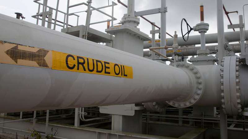 Environmentalists back Biden's move to tap oil reserve
