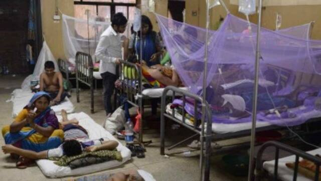 Dengue outbreak: More severe strain of disease affecting lungs and stomach of patients
