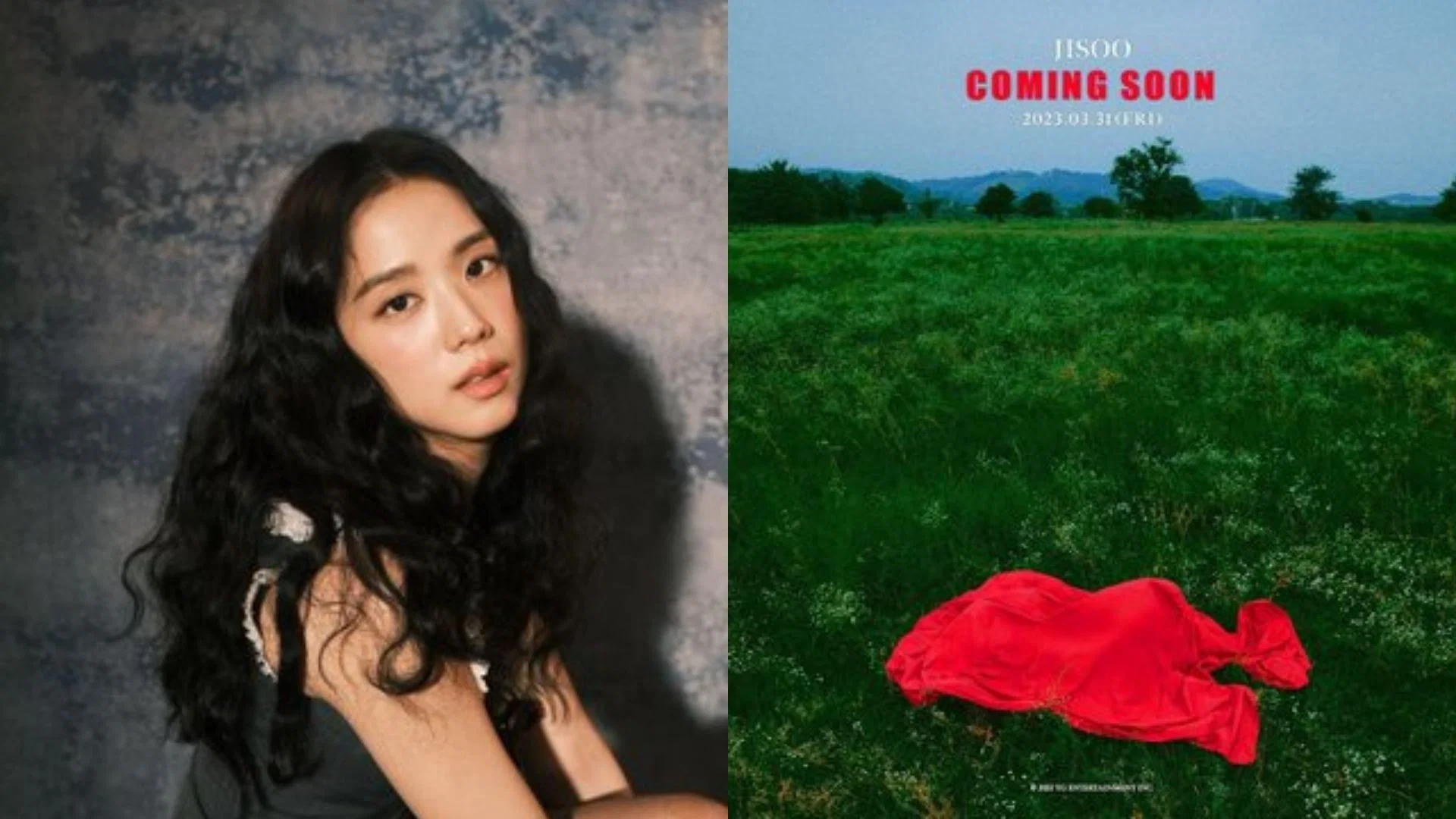 “Soloist Kim Jisoo”: BLACKPINK fans celebrate the singer becoming the first K-pop soloist to surpass 100K pre-