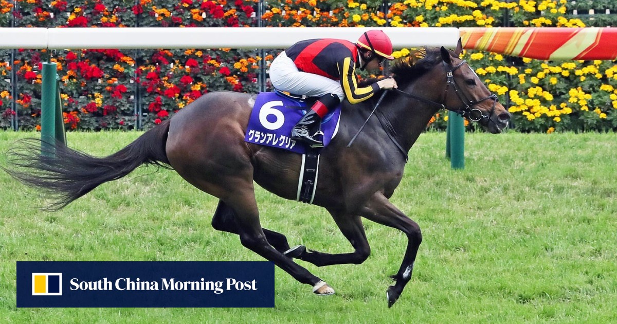 Japan’s Tenno Sho set to shape Hong Kong Cup