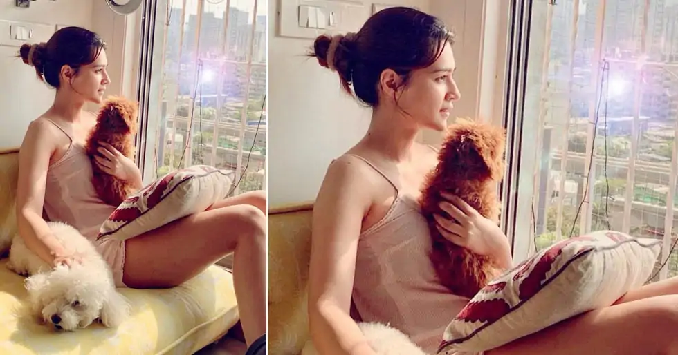 Kriti Sanon Confirms Testing Positive For COVID-19