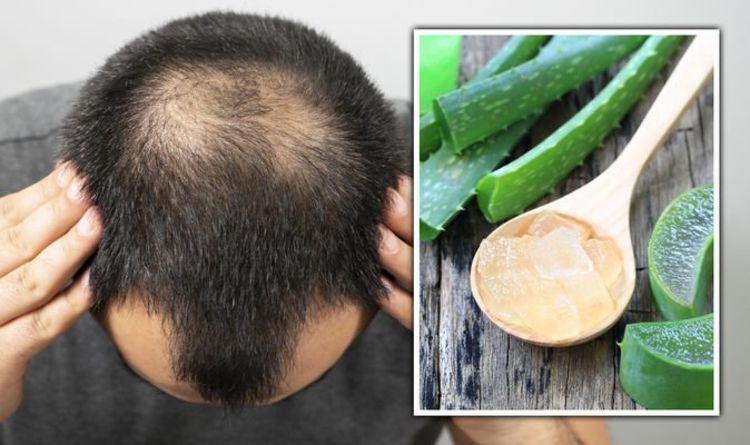 Hair loss treatment: Aloe vera contains important minerals that could promote hair growth
