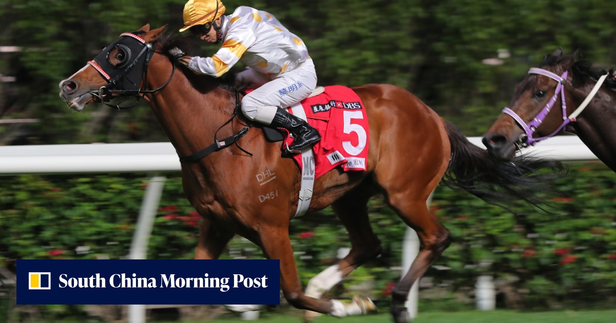 Yiu hopeful of some Valley joy after losing in the stewards’ room on Sunday