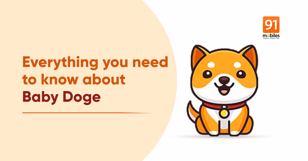 Baby Doge: What is it? Should you invest? How to buy Baby Doge in India, price, and more