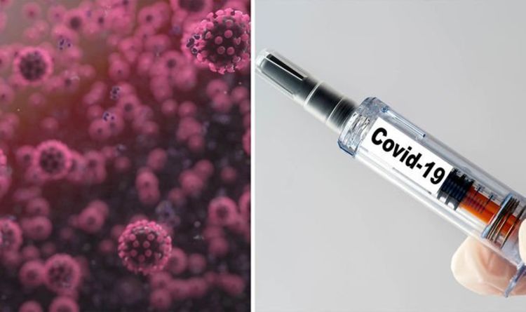 Coronavirus cure: How is a vaccine made?