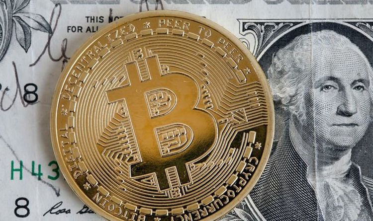 Bitcoin boom backed: Cryptocurrency going 'higher' and 'mainstream' despite slump