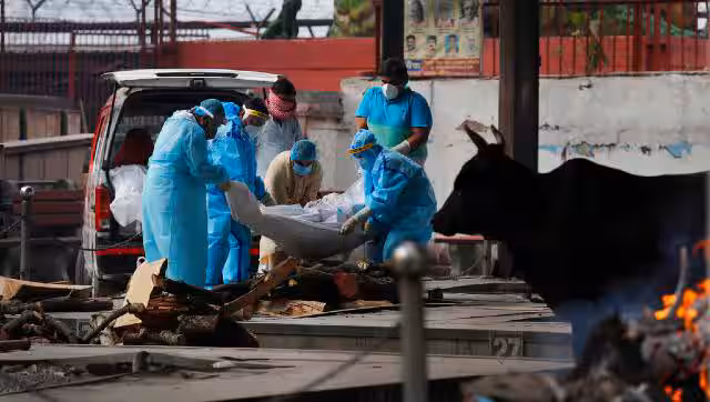 How Bihar's recount made India report highest single-day COVID-19 deaths globally-Health News , Firstpost