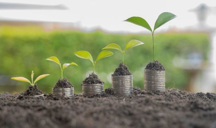 Investing expert suggests an 'extremely beneficial way to invest money'