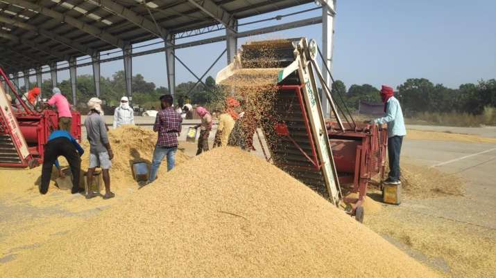 Govt buys 368.7 lakh ton kharif paddy so far at MSP for Rs 69,612 crore