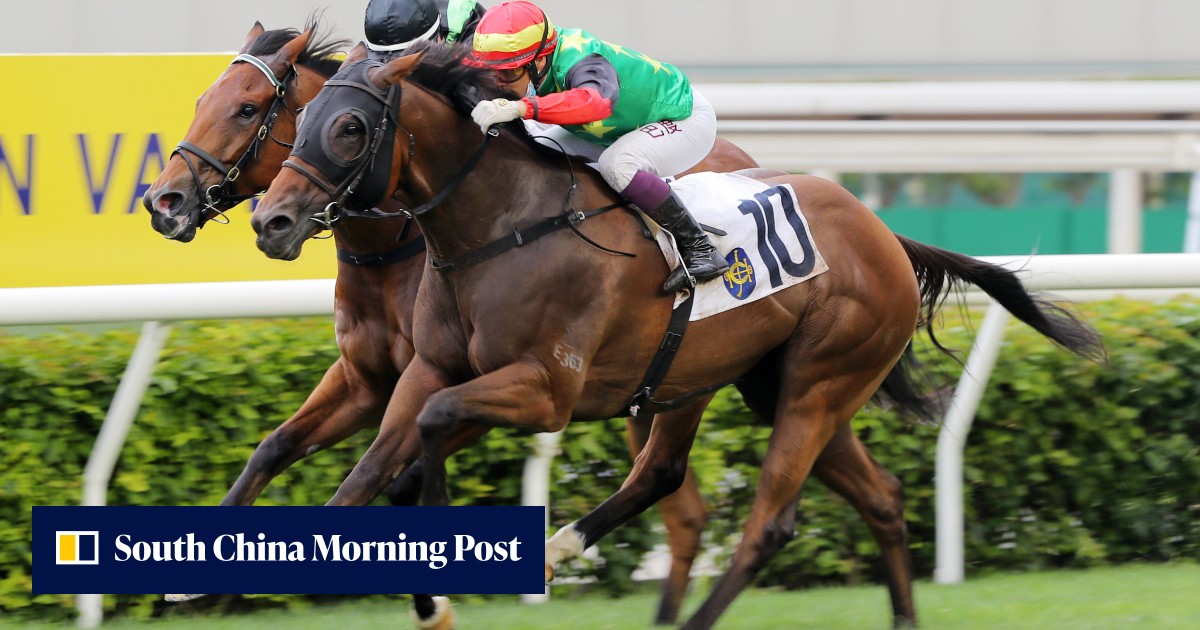 National Day Cup contender Cordyceps Six ticks every box for Sha Tin feature