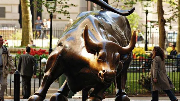 Scientific investing protects, creates wealth beyond the bull market rush