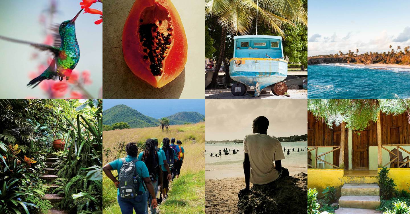 Sustainable travel in the Caribbean: How to holiday consciously