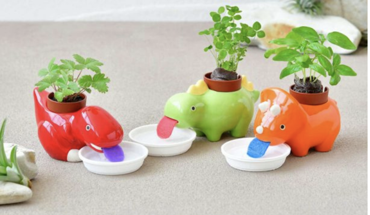 These Self-Watering Dinosaur Planters Are So Cute, You Need One | Kids Activities