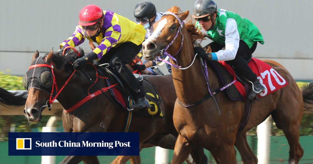 Hamelin chases first Group win, Derby hero Sky Darci returns