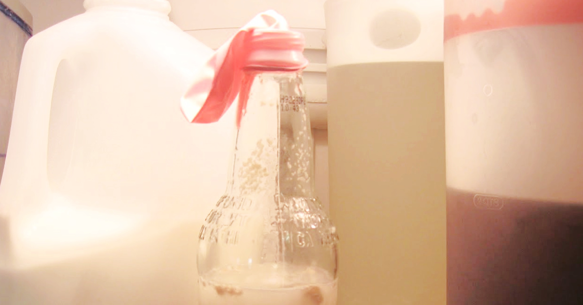 Easy Bacteria Growth Science Experiment for Kids | Kids Activities Blog