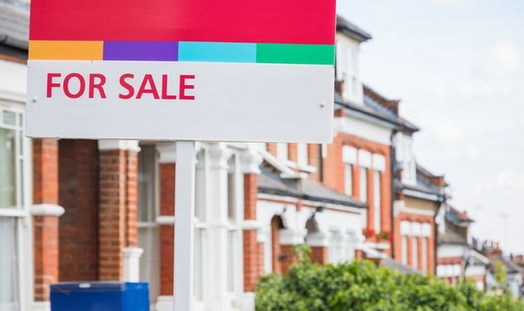 House prices slump means buyers can make most of pre-Christmas lull
