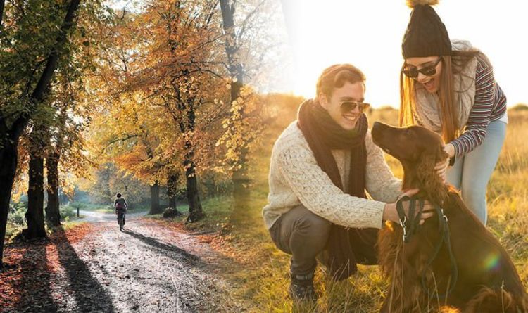London dog walking: Top five London walks for you and your pet during Tier Two