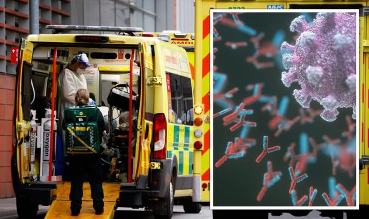 Covid: Autoantibodies in severely ill patients could lead to a 'lifetime of trouble'