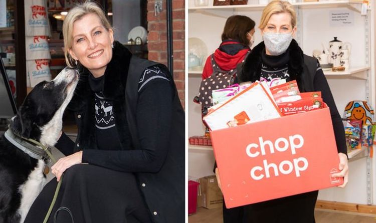 'Genuine' Sophie Wessex sheds 'formal royal' body language and 'gets stuck in' - expert