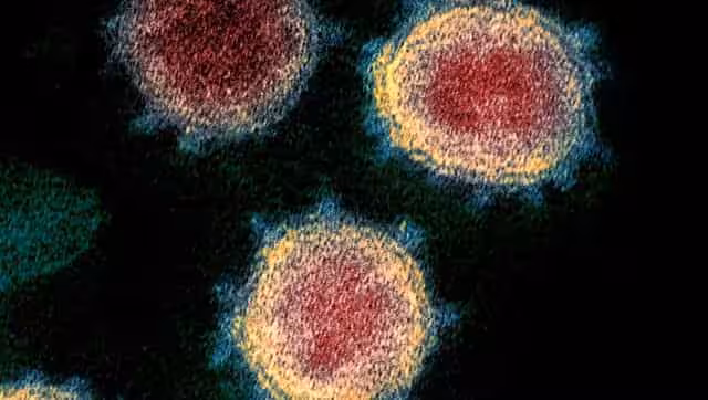 India has 7,684 coronavirus mutations, finds study: Here's what you need to know - India News , Firstpost