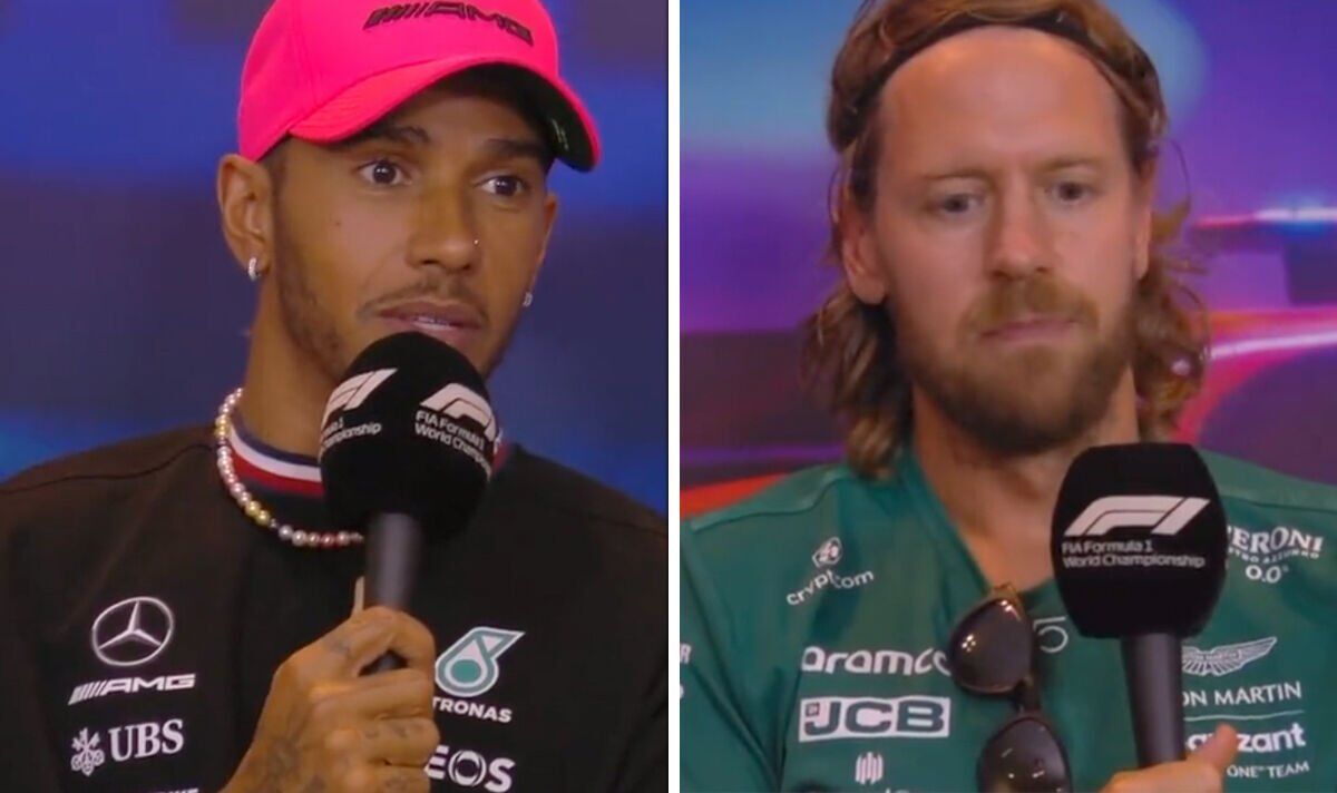 Lewis Hamilton calls Sebastian Vettel a 'nuisance'