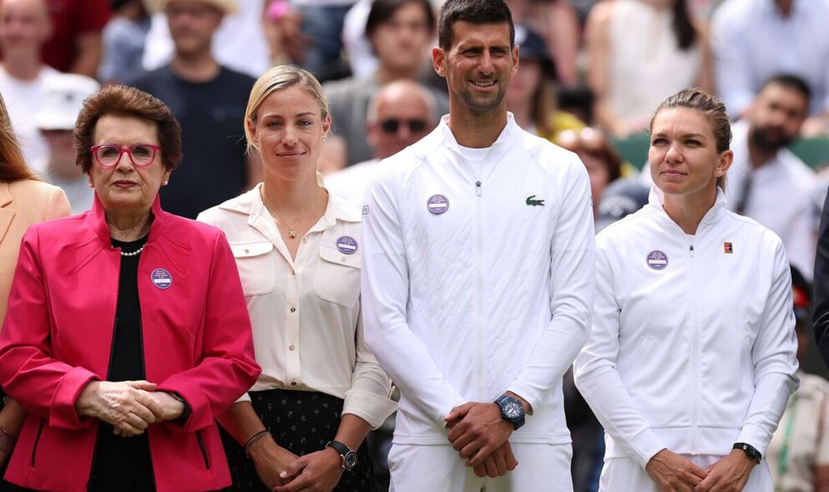 Djokovic 'used Billie Jean King and government sources' in US bid
