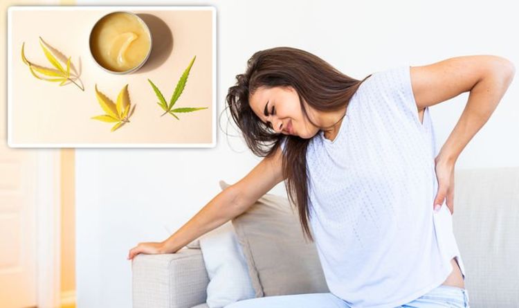 Back pain: Cannabidiol 'CBD' balm could ease your aches and pain
