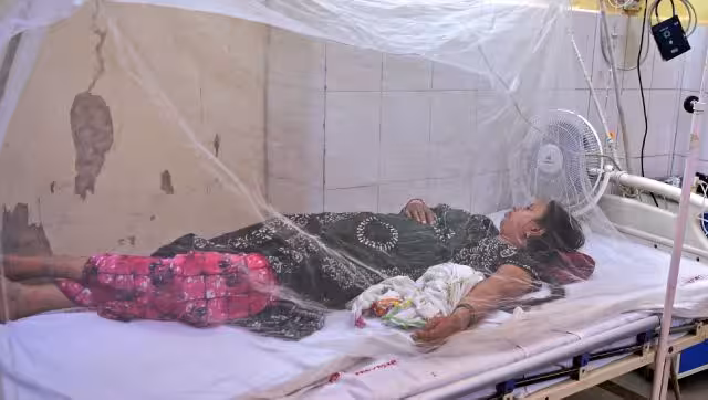 From Dengue to Nipah virus, vector-borne diseases are a major concern for India