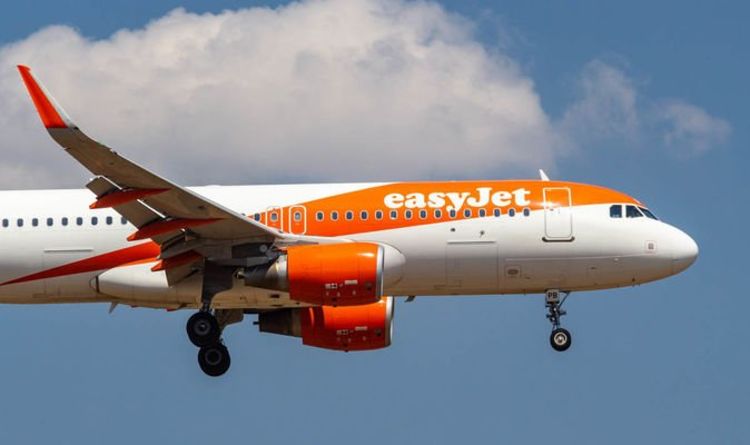 EasyJet charges £24 to store hand luggage in overhead lockers to improve