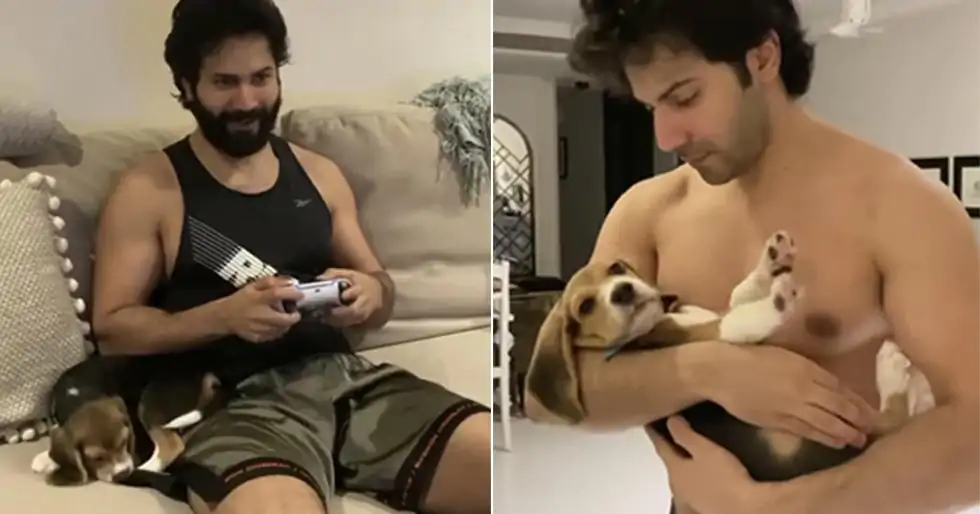 Varun Dhawan is seen bonding with his puppy Joey in this adorable video