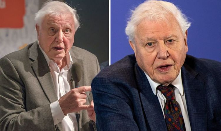 David Attenborough left ‘appalled’ after being used in fake advert ‘He extends sympathies'