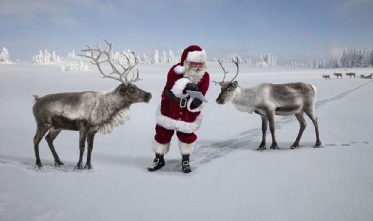 Are Santa's reindeer female?